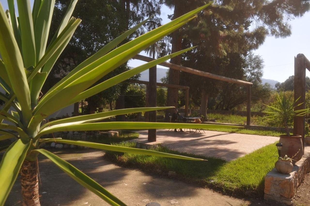 Ferme Walila Otel Fertassa Dış mekan fotoğraf